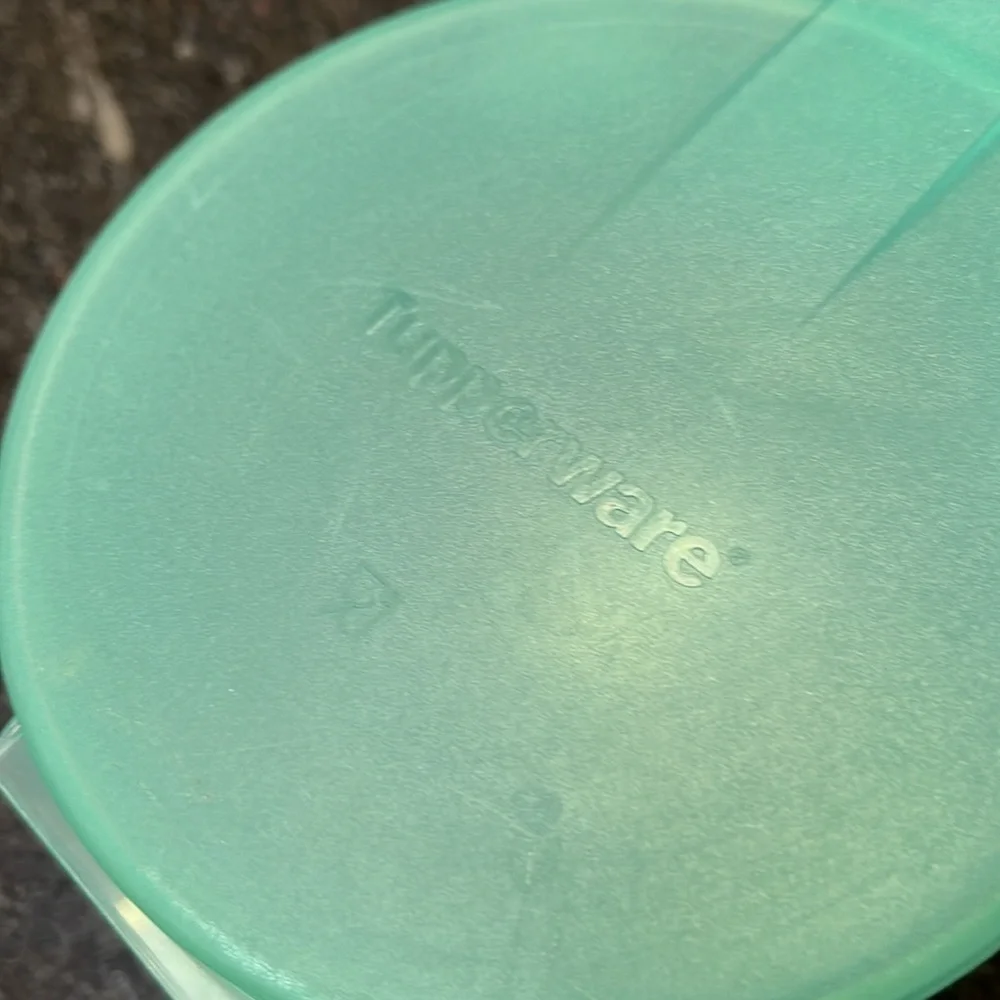 Tupperware Hang in refrigerator Produce Keepers- Green and Blue Set of Two